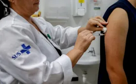 Imagem ilustrativa da imagem Bahia recebe remessa de vacina contra a dengue neste fim de semana