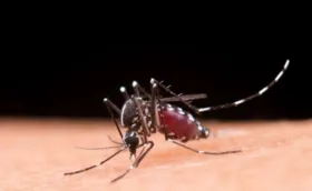 Imagem ilustrativa da imagem Brasil ultrapassa 4 milhões de casos de dengue