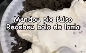 Imagem ilustrativa da imagem Confeiteira baiana recebe pix falso e se vinga enviando bolo de lama