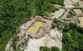 Imagem ilustrativa da imagem Polícia Federal fecha três garimpos em Terra Indígena Kayapó no Pará
